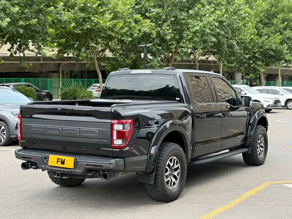Ford F-150 Raptor — фото 19