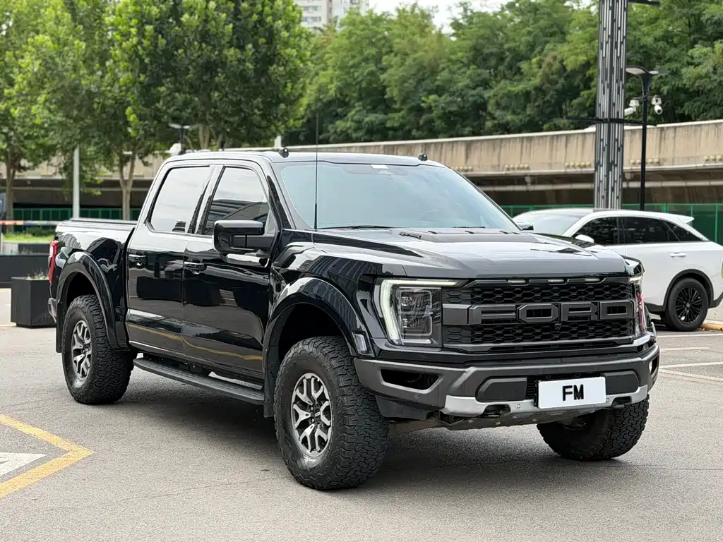 Ford F-150 Raptor — фото 3