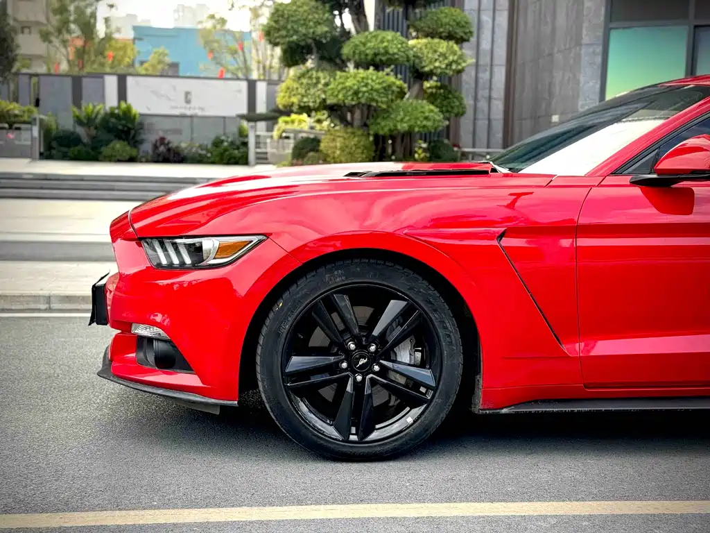 Ford Mustang — фото 5