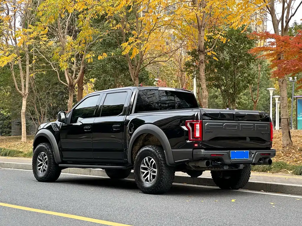 Ford F-150 Raptor — фото 6