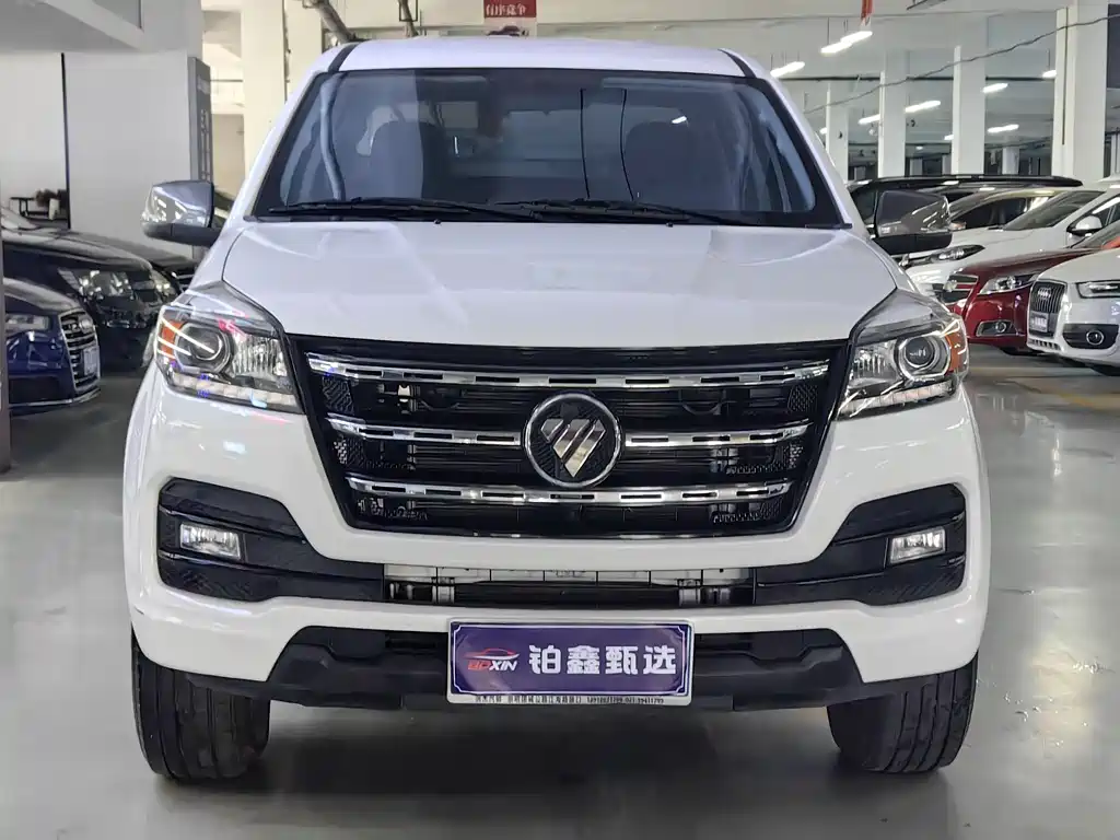 Foton Shengtu — фото 2