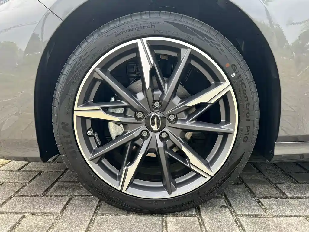 GAC Motor Shadow Leopard — фото 18