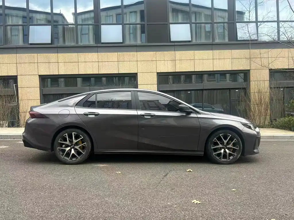 GAC Motor Shadow Leopard — фото 4