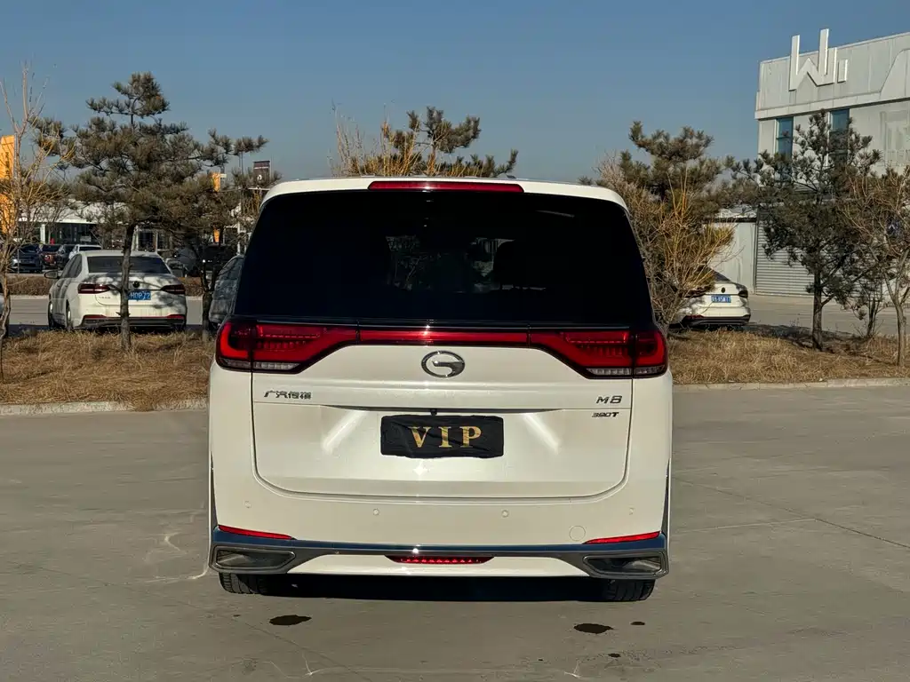 GAC Motor Trumpchi M8 — фото 25