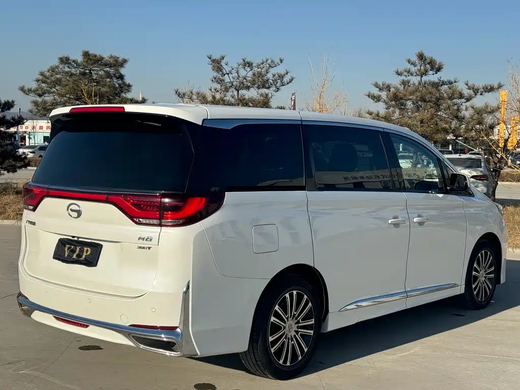 GAC Motor Trumpchi M8 — фото 26