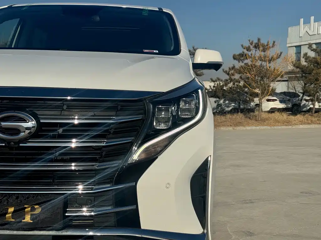 GAC Motor Trumpchi M8 — фото 4