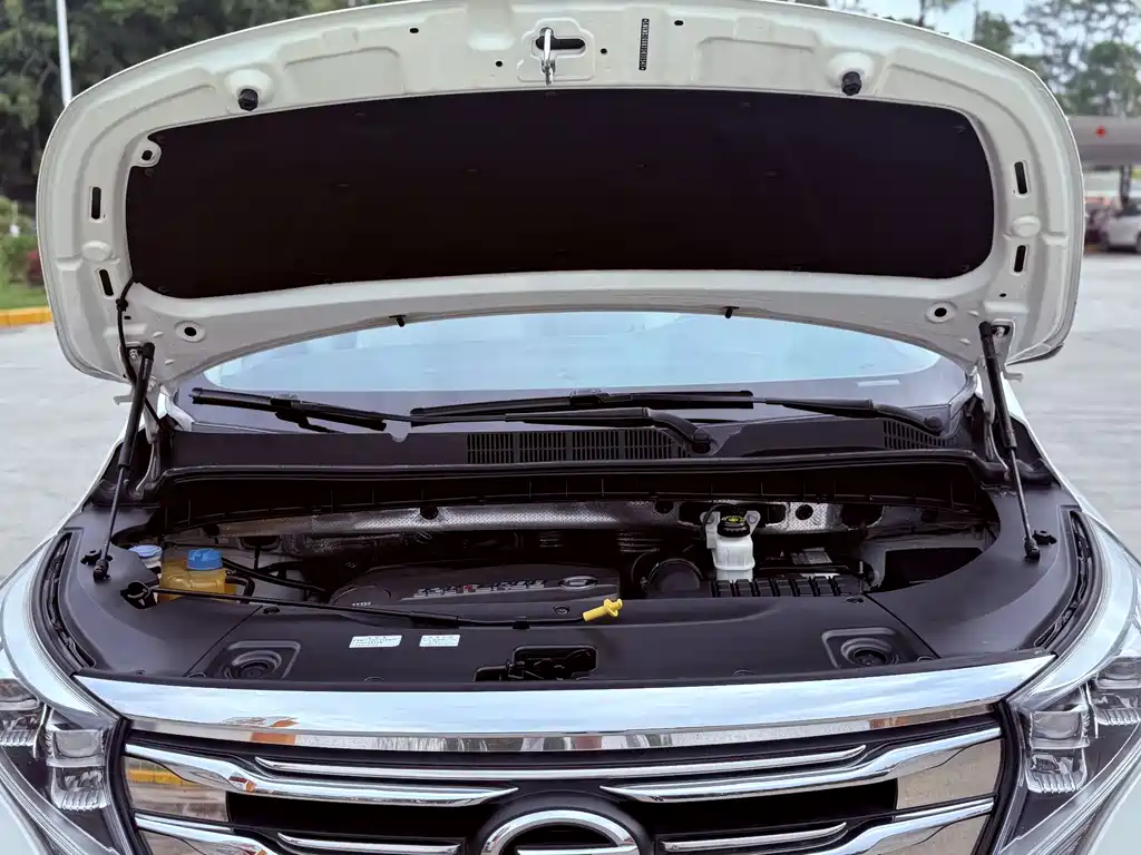 GAC Motor Trumpchi M8 — фото 23