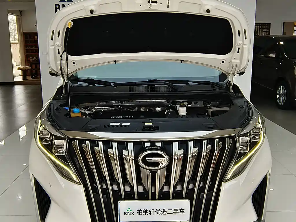 GAC Motor Trumpchi M8 — фото 25