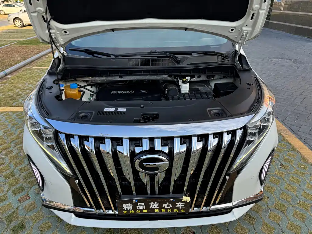 GAC Motor Trumpchi M8 — фото 19