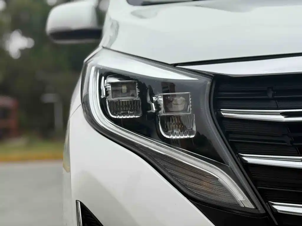 GAC Motor Trumpchi M8 — фото 6