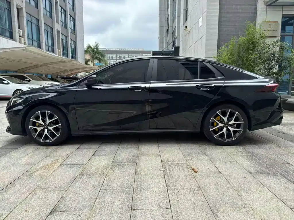 GAC Motor Shadow Leopard — фото 4