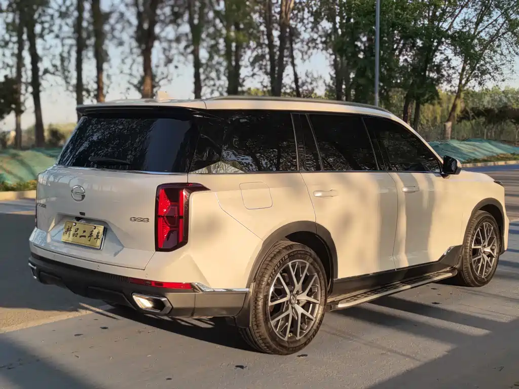 GAC Motor Trumpchi GS8 — фото 6