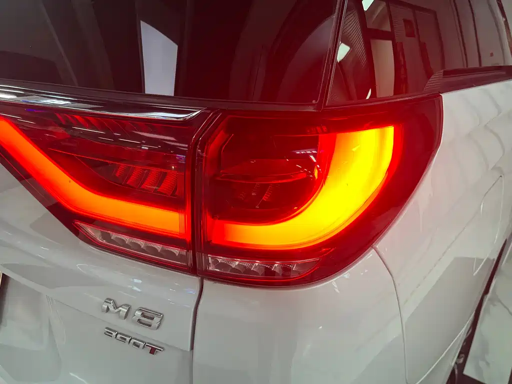 GAC Motor Trumpchi M8 — фото 13