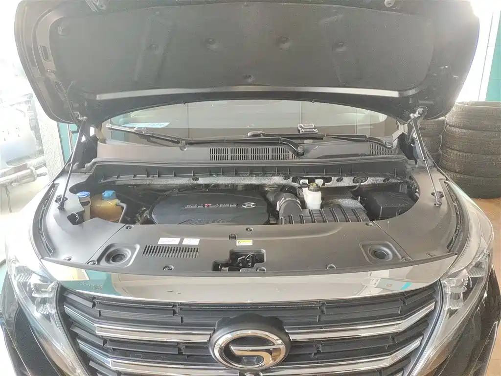 GAC Motor Trumpchi M8 — фото 20