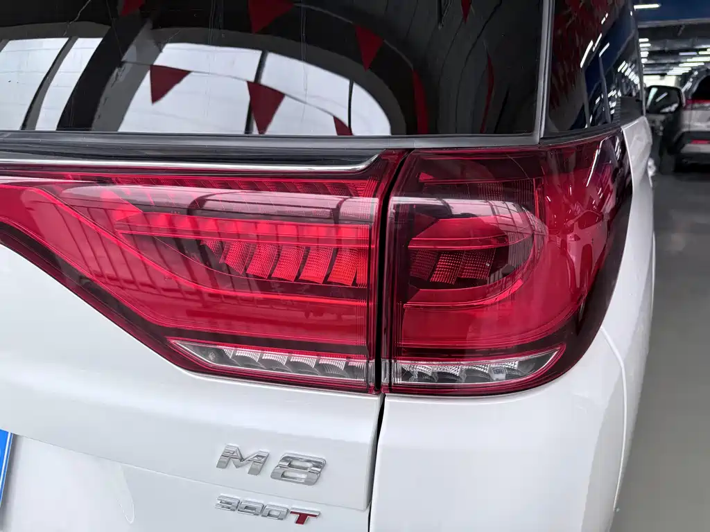 GAC Motor Trumpchi M8 — фото 19