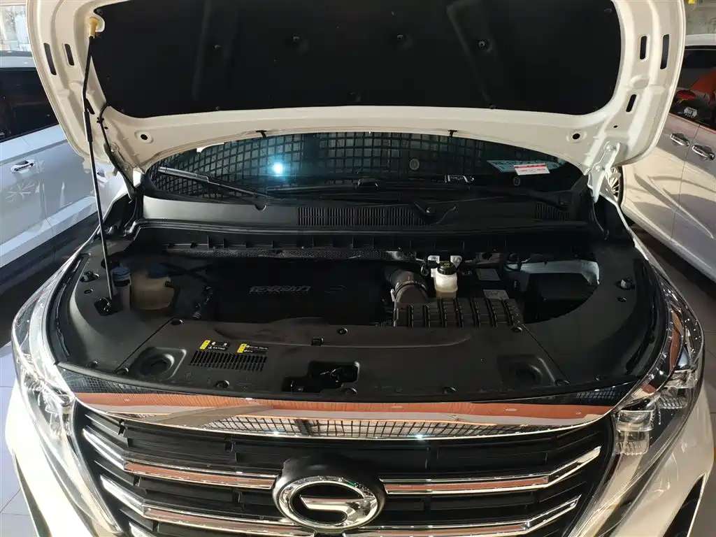 GAC Motor Trumpchi M8 — фото 16