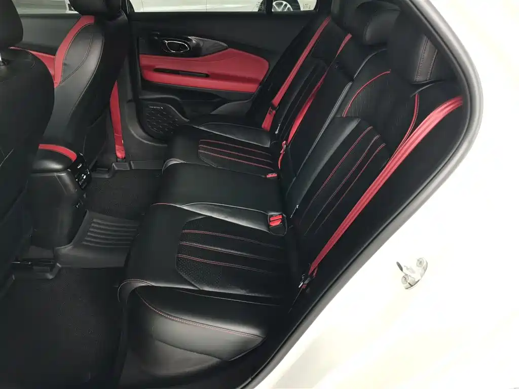 GAC Motor Shadow Leopard — фото 17