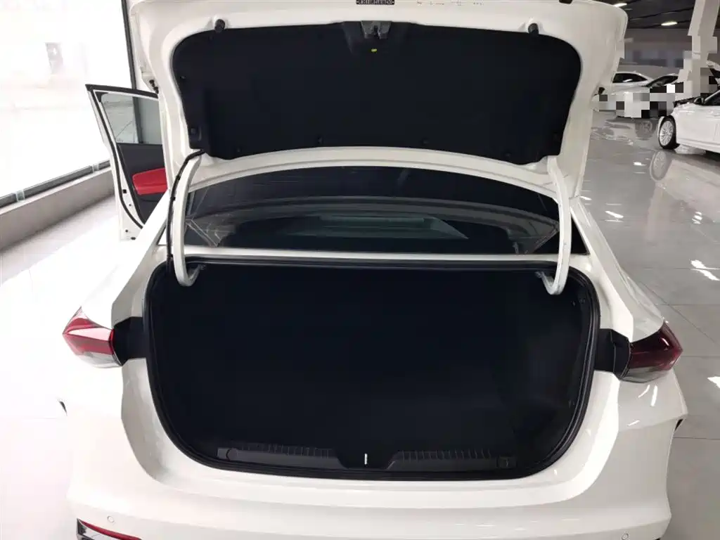 GAC Motor Shadow Leopard — фото 19