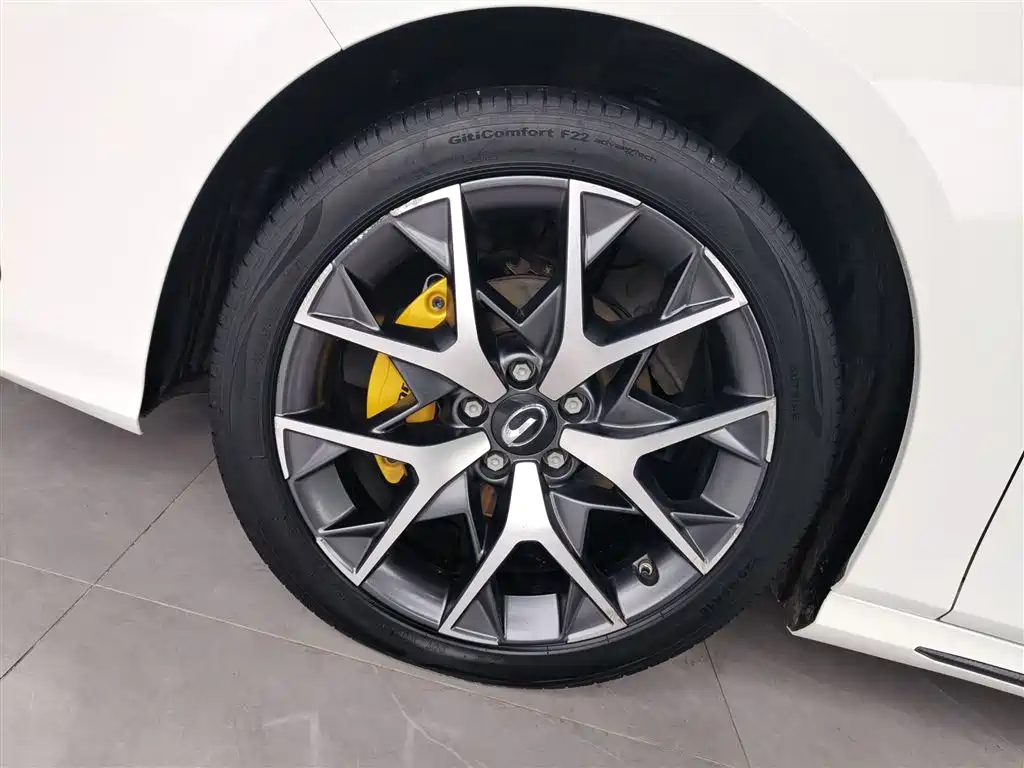 GAC Motor Shadow Leopard — фото 23