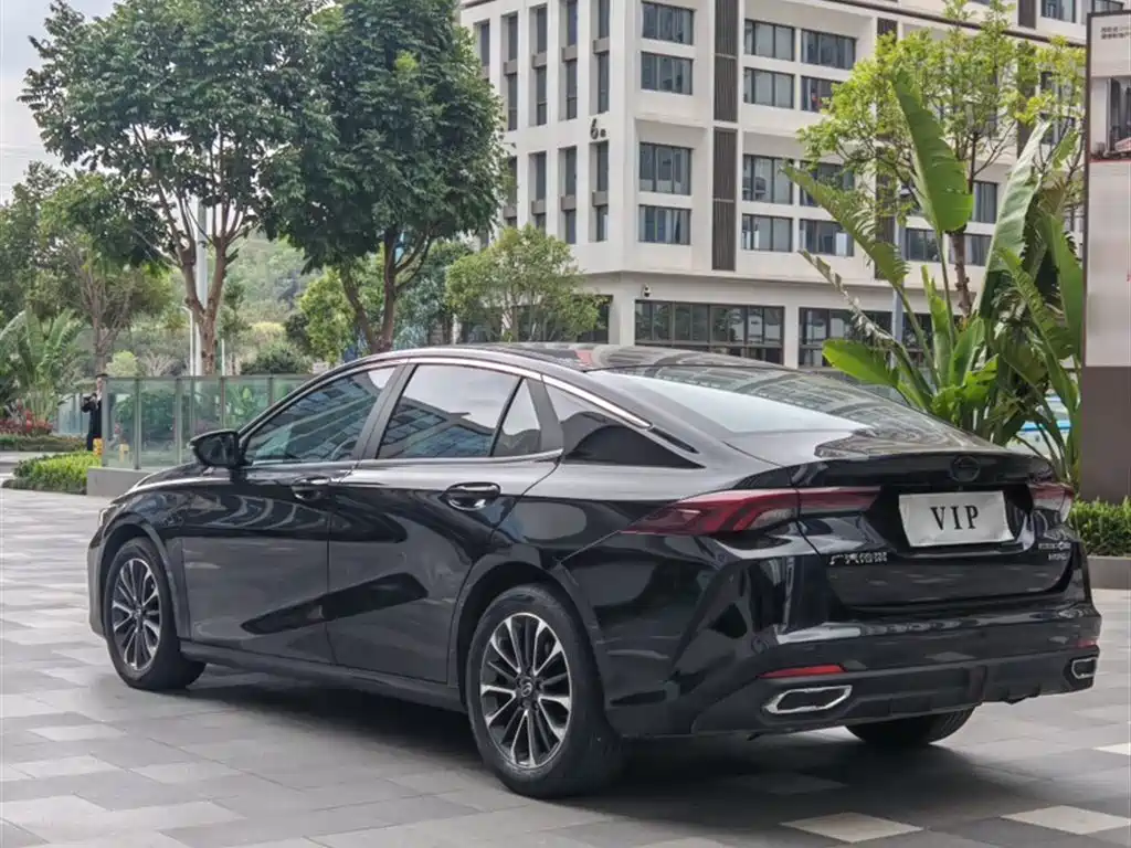 GAC Motor Shadow Leopard — фото 23