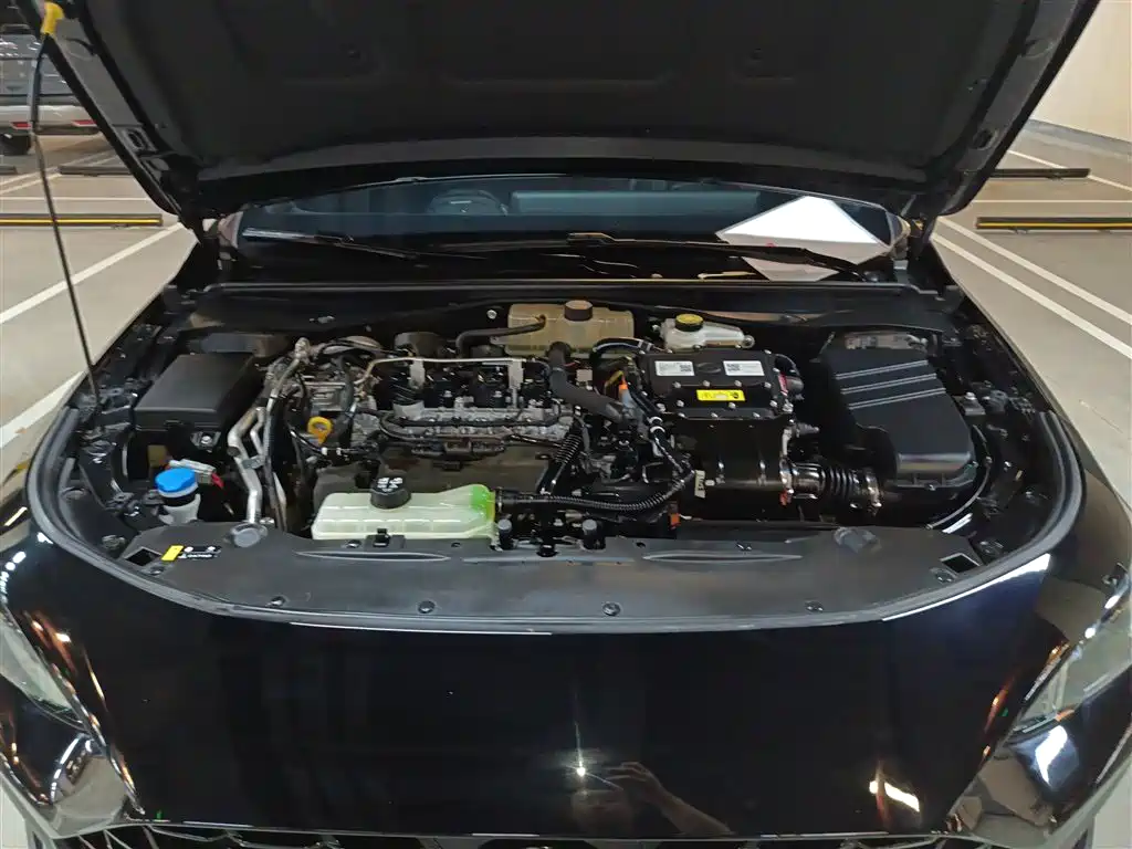 GAC Motor Shadow Leopard — фото 10