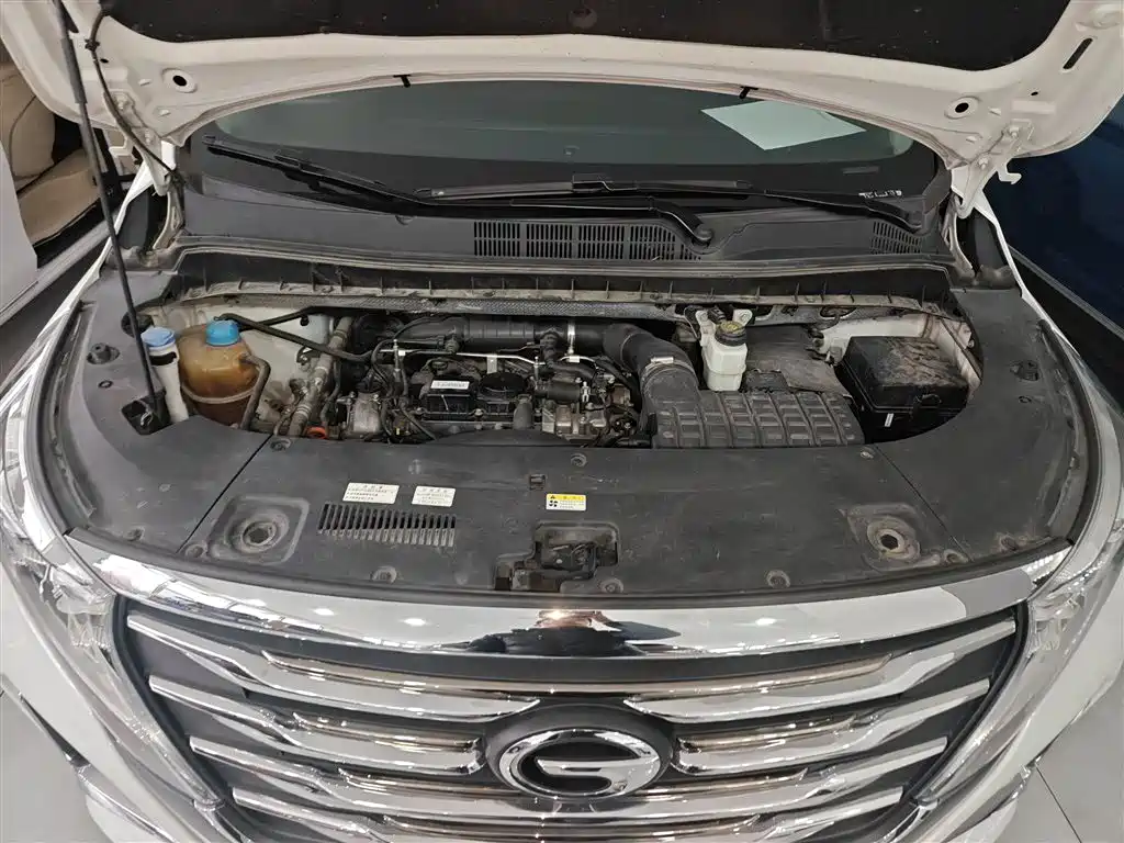 GAC Motor Trumpchi M8 — фото 20