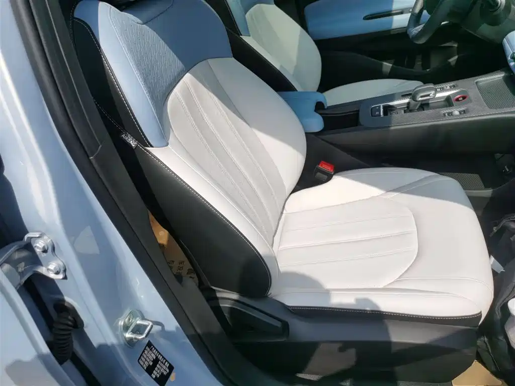 GAC Motor Shadow Leopard — фото 18