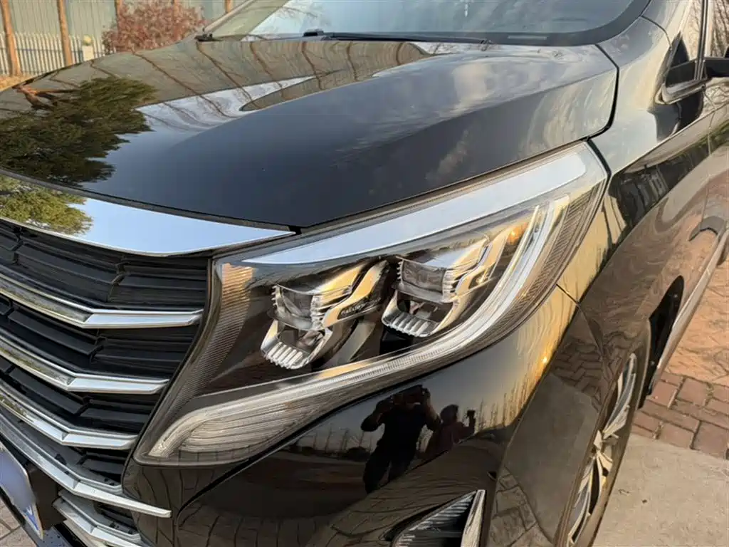 GAC Motor Trumpchi M8 — фото 18