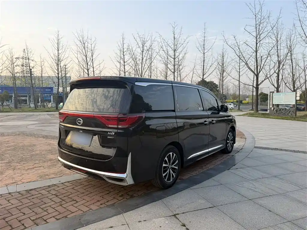 GAC Motor Trumpchi M8 — фото 25