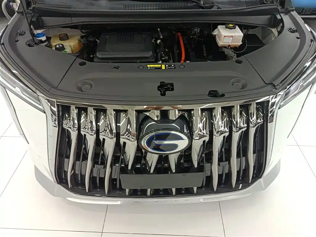 GAC Motor Trumpchi M8 — фото 20