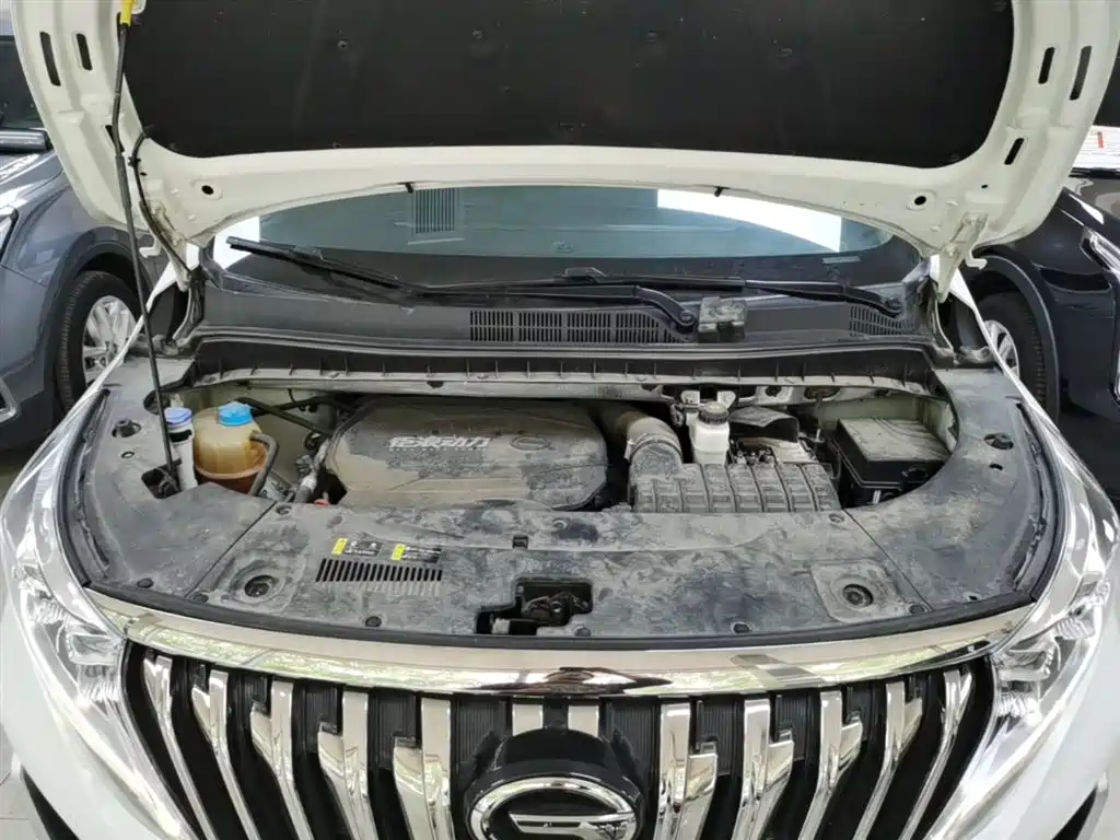 GAC Motor Trumpchi M8 — фото 20