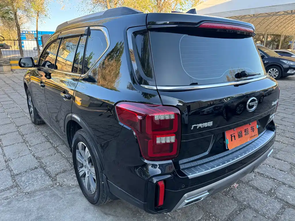 GAC Motor Trumpchi GS8 — фото 7