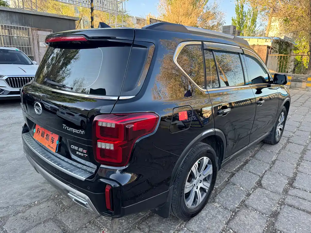 GAC Motor Trumpchi GS8 — фото 9