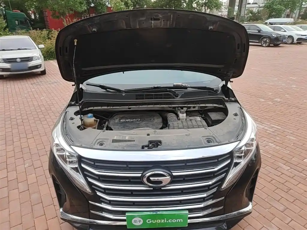 GAC Motor Trumpchi M8 — фото 20