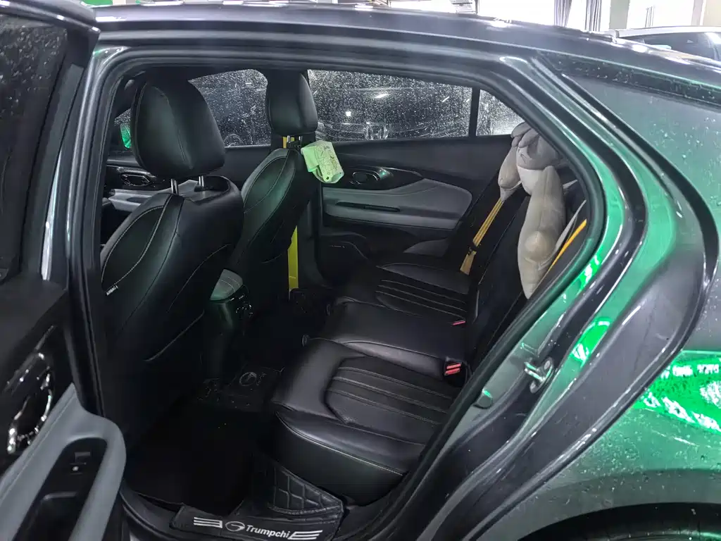 GAC Motor Shadow Leopard — фото 13