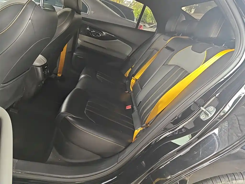 GAC Motor Shadow Leopard — фото 17