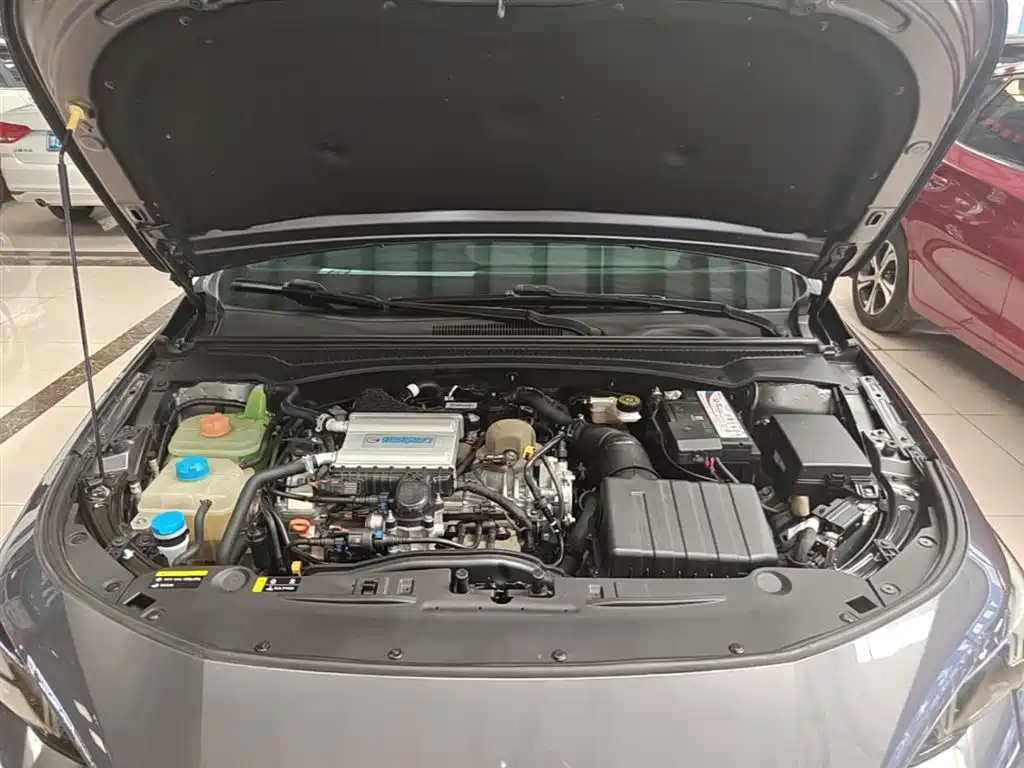 GAC Motor Shadow Leopard — фото 20