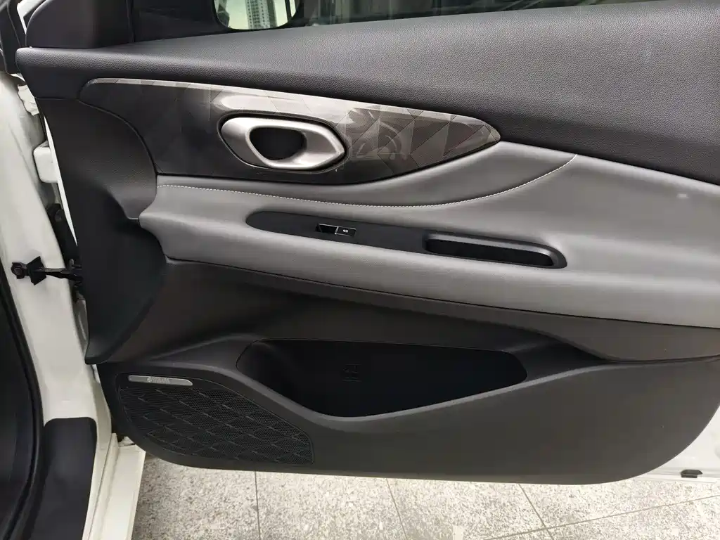 GAC Motor Shadow Leopard — фото 20