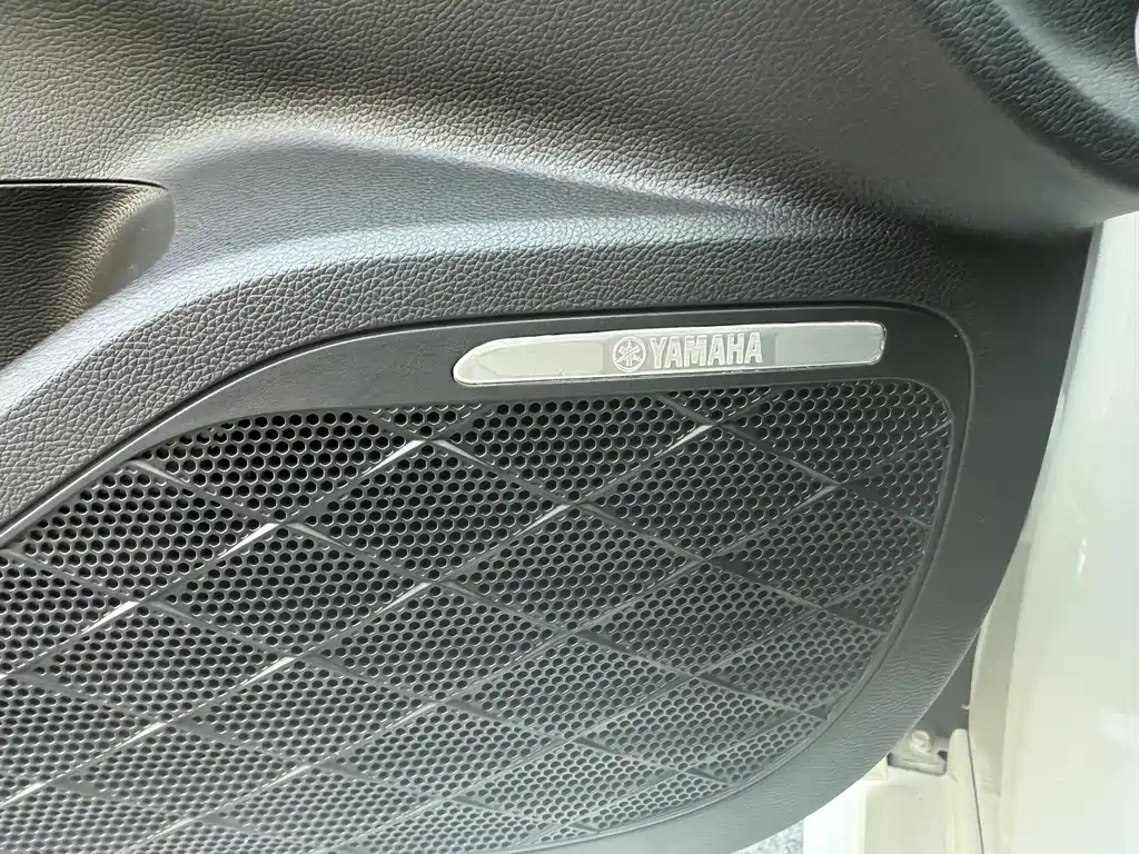 GAC Motor Shadow Leopard — фото 11