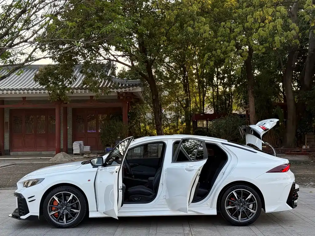 GAC Motor Shadow Leopard — фото 15
