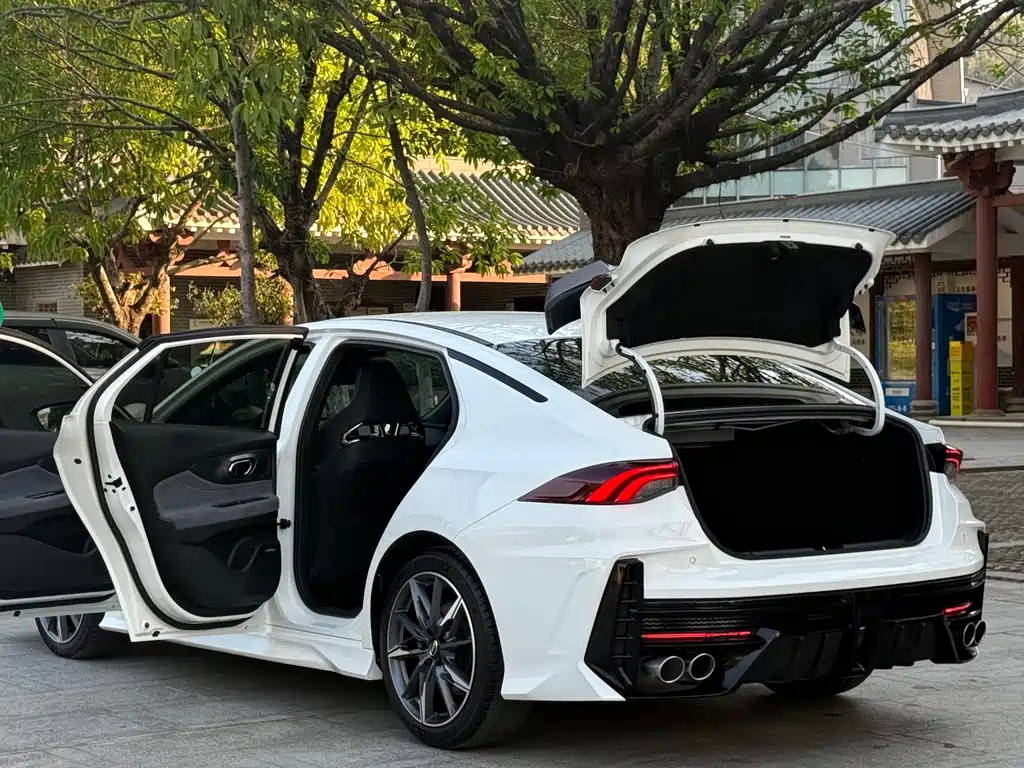 GAC Motor Shadow Leopard — фото 22