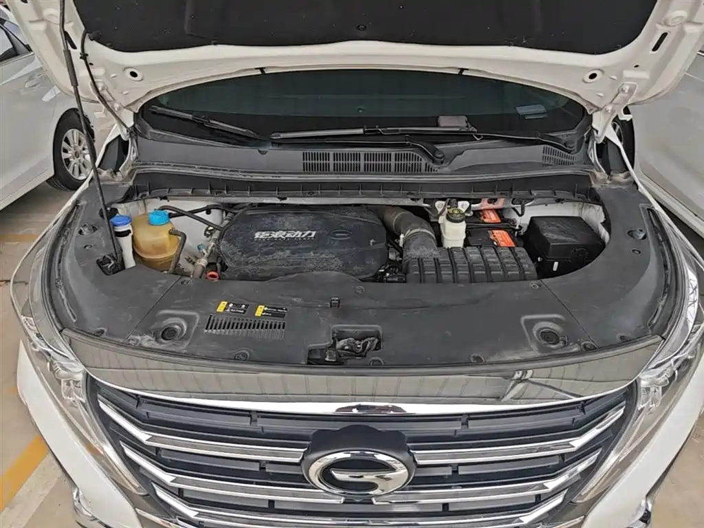 GAC Motor Trumpchi M8 — фото 20
