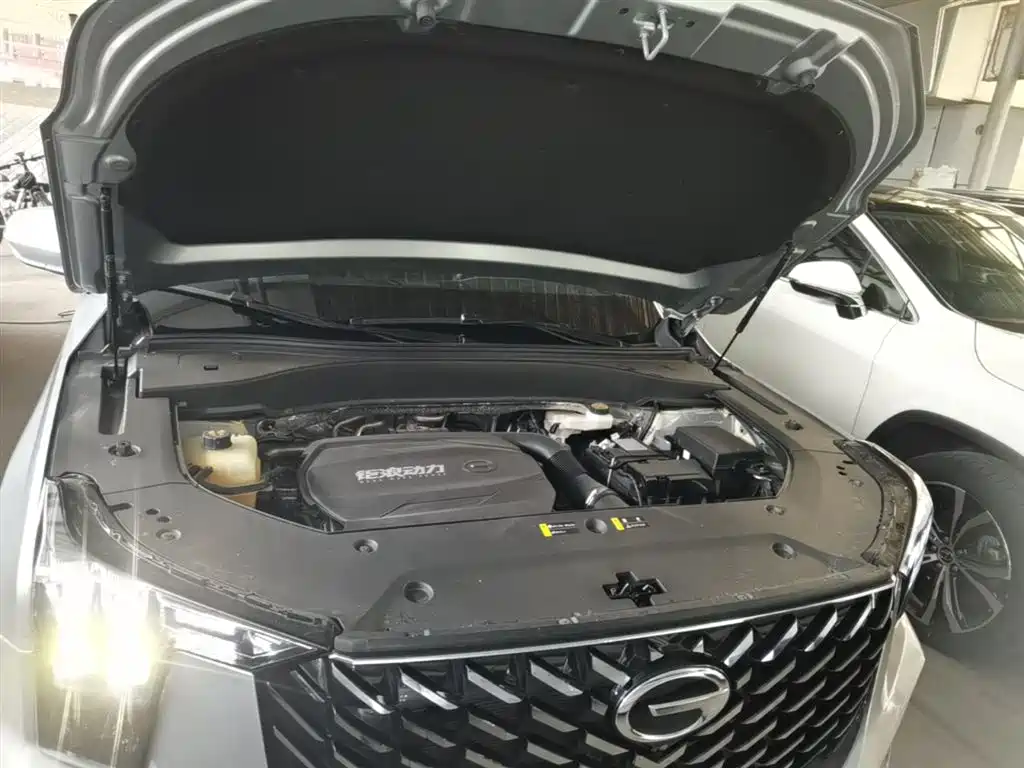 GAC Motor Trumpchi GS8 — фото 20