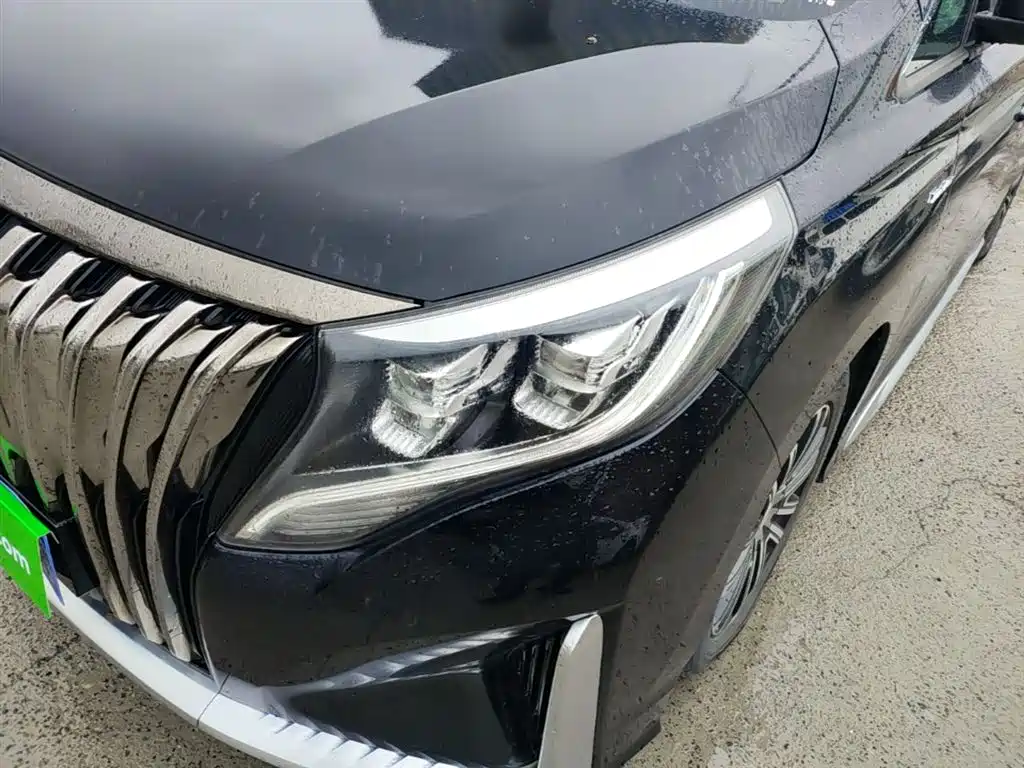 GAC Motor Trumpchi M8 — фото 24