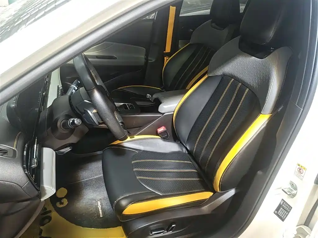 GAC Motor Shadow Leopard — фото 11