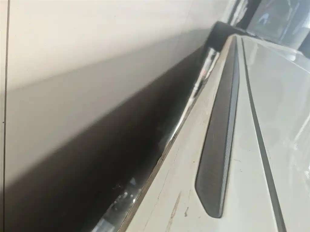 GAC Motor Shadow Leopard — фото 21