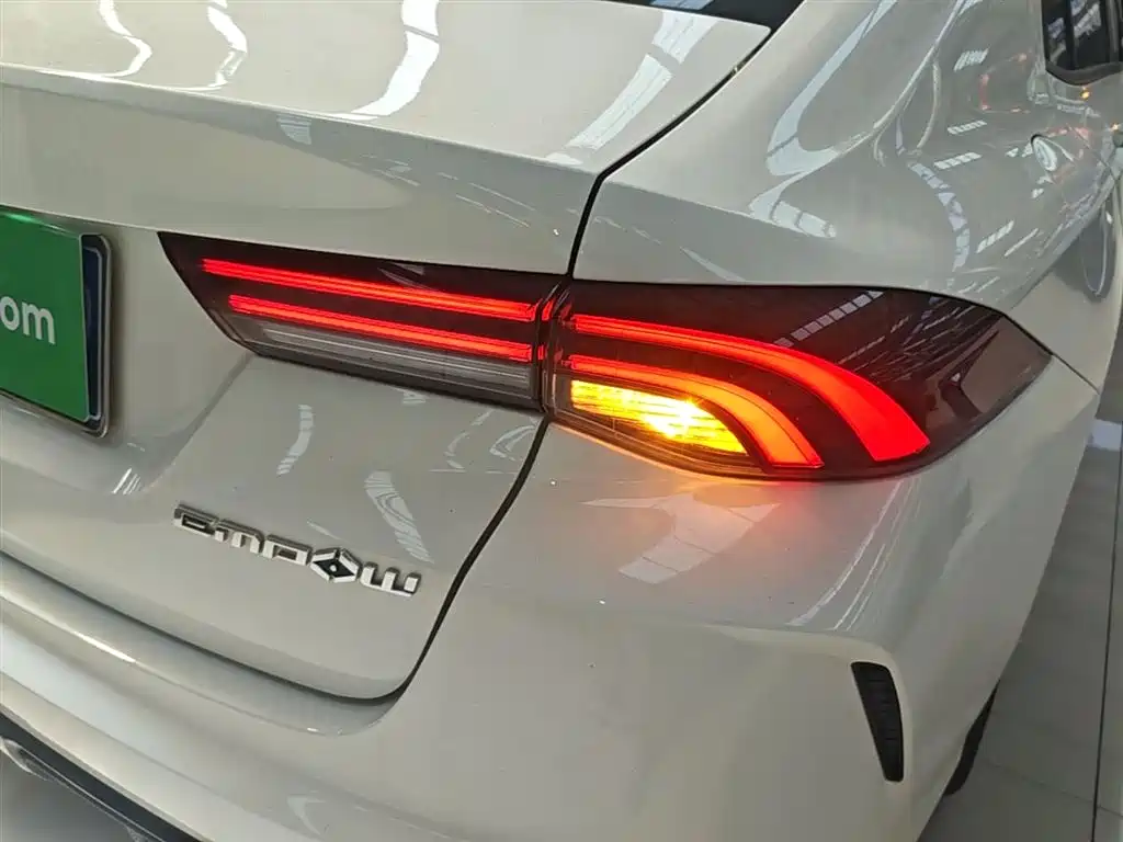 GAC Motor Shadow Leopard — фото 24