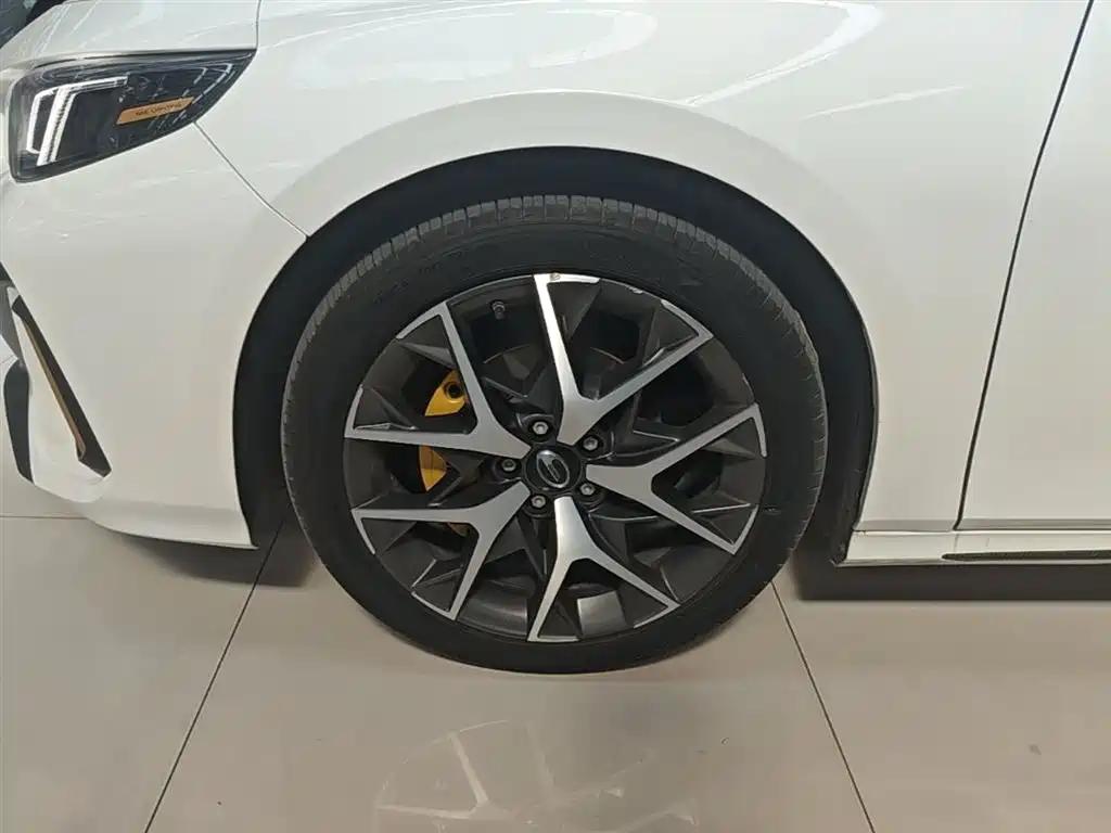 GAC Motor Shadow Leopard — фото 25