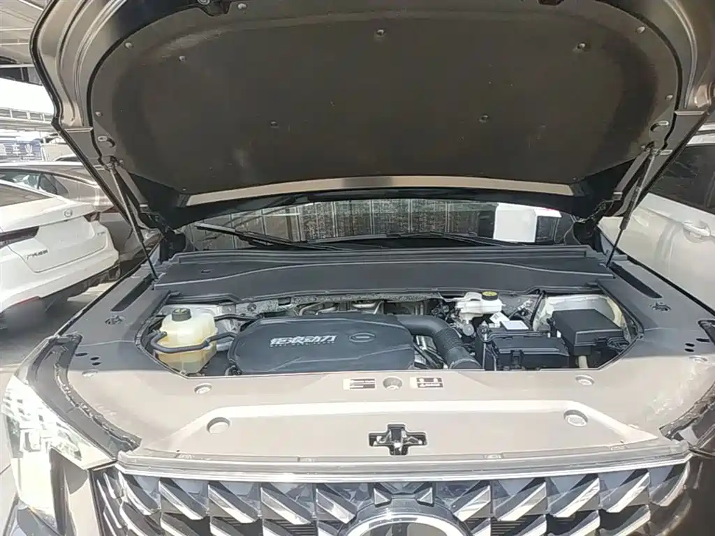 GAC Motor Trumpchi GS8 — фото 19