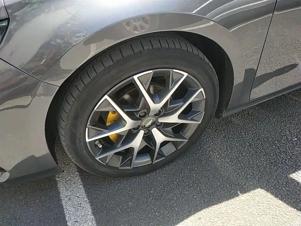 GAC Motor Shadow Leopard — фото 23
